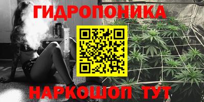 спиды Бузулук
