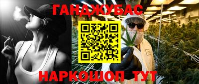 дмт Будённовск