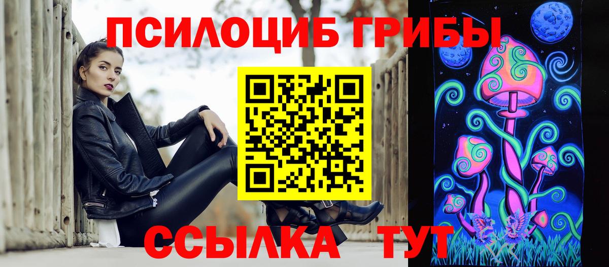 Псилоцибиновые грибы мицелий Шадринск