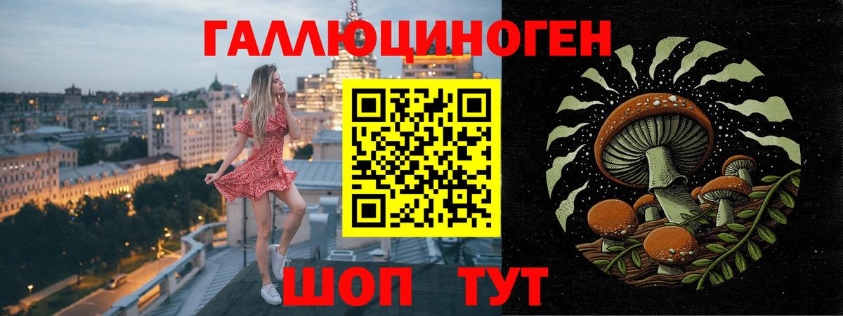 наркошоп  Вход с VPN  Псилоцибиновые грибы MAGIC MUSHROOMS  Шадринск  Псилоцибиновые грибы мицелий 